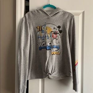 Walt Disney World Vintage Hooded Sweatshirt (L)